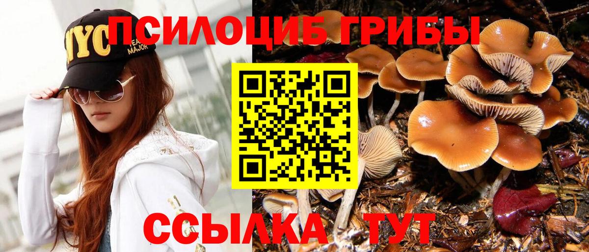 Сунжа  Галлюциногенные грибы Magic Shrooms  Вход с VPN 